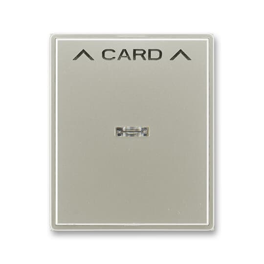 3559E-A00700 32  Kryt spínače kartového, s čirým průzorem, s potiskem, starostříbrná